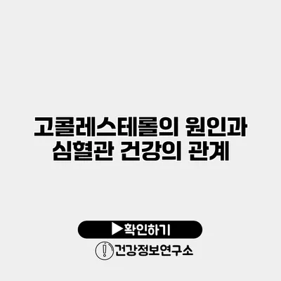 고콜레스테롤의 원인과 심혈관 건강의 관계