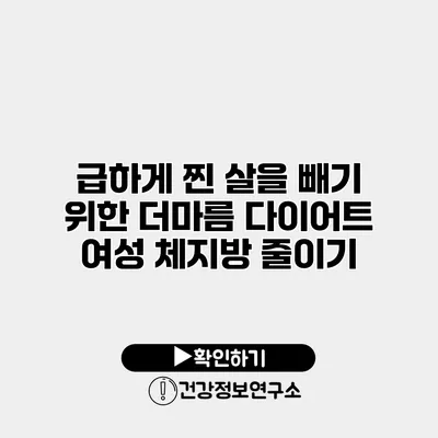급하게 찐 살을 빼기 위한 더마름 다이어트 여성 체지방 줄이기