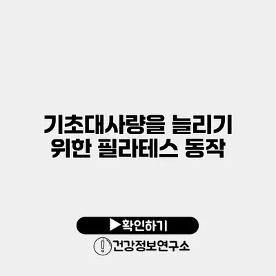 기초대사량을 늘리기 위한 필라테스 동작