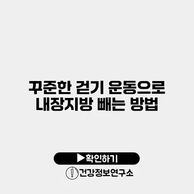 꾸준한 걷기 운동으로 내장지방 빼는 방법