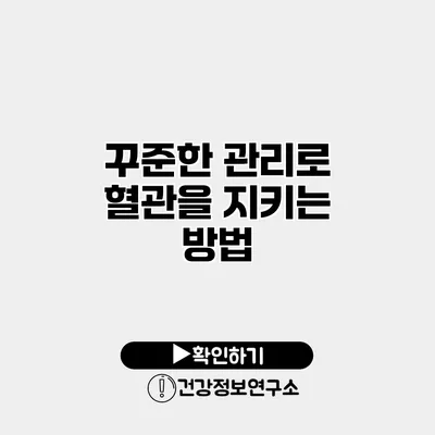 꾸준한 관리로 혈관을 지키는 방법