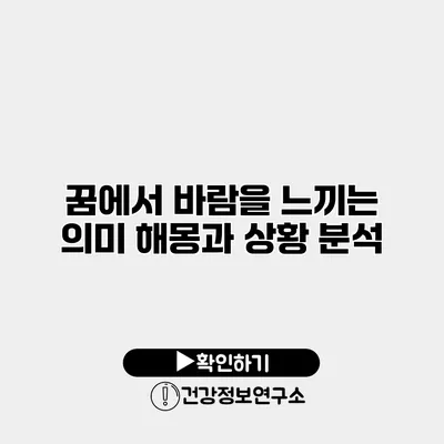 꿈에서 바람을 느끼는 의미 해몽과 상황 분석