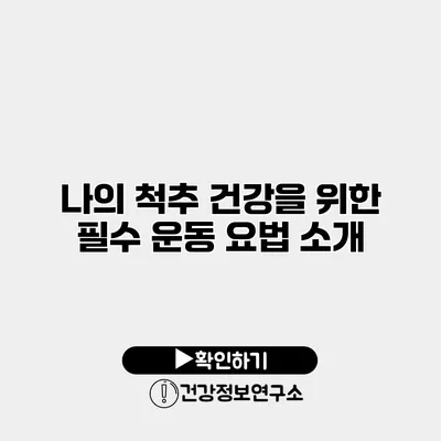 나의 척추 건강을 위한 필수 운동 요법 소개