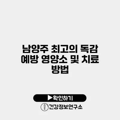 남양주 최고의 독감 예방 영양소 및 치료 방법