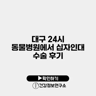대구 24시 동물병원에서 십자인대 수술 후기