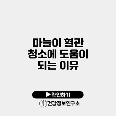 마늘이 혈관 청소에 도움이 되는 이유