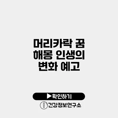머리카락 꿈 해몽 인생의 변화 예고