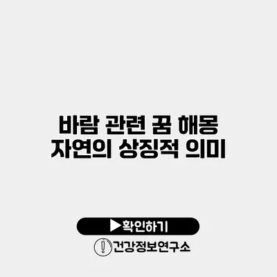 바람 관련 꿈 해몽 자연의 상징적 의미