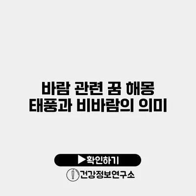 바람 관련 꿈 해몽 태풍과 비바람의 의미