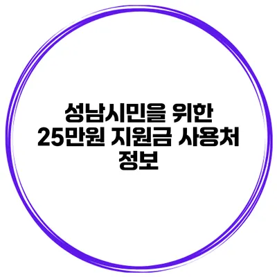 성남시민을 위한 25만원 지원금 사용처 정보