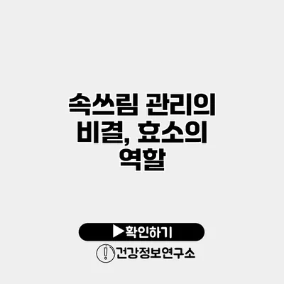 속쓰림 관리의 비결, 효소의 역할