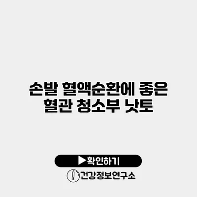 손발 혈액순환에 좋은 혈관 청소부 낫토