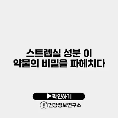 스트렙실 성분 이 약물의 비밀을 파헤치다