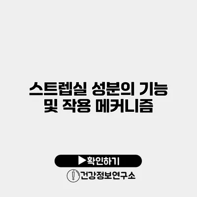 스트렙실 성분의 기능 및 작용 메커니즘