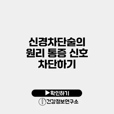신경차단술의 원리 통증 신호 차단하기