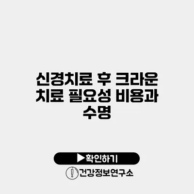 신경치료 후 크라운 치료 필요성 비용과 수명