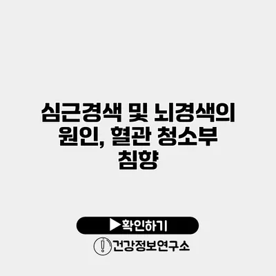 심근경색 및 뇌경색의 원인, 혈관 청소부 침향