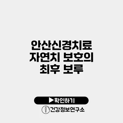 안산신경치료 자연치 보호의 최후 보루