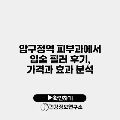 압구정역 피부과에서 입술 필러 후기, 가격과 효과 분석