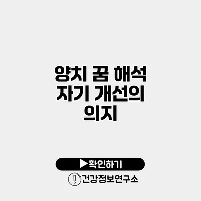 양치 꿈 해석 자기 개선의 의지