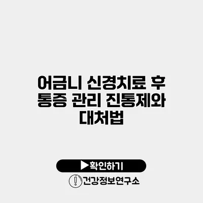 어금니 신경치료 후 통증 관리 진통제와 대처법