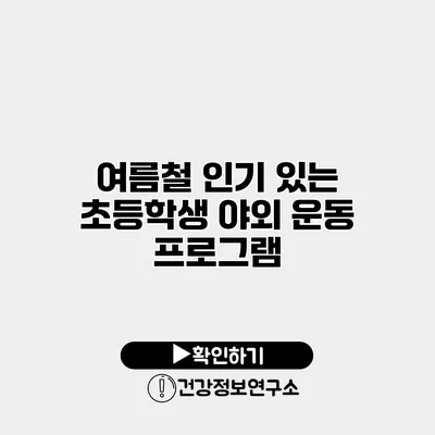 여름철 인기 있는 초등학생 야외 운동 프로그램