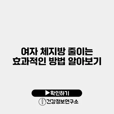 여자 체지방 줄이는 효과적인 방법 알아보기