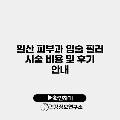 일산 피부과 입술 필러 시술 비용 및 후기 안내