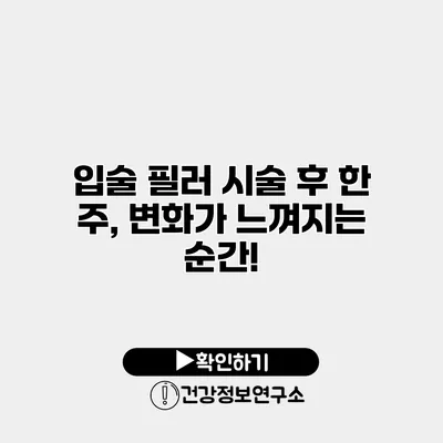 입술 필러 시술 후 한 주, 변화가 느껴지는 순간!