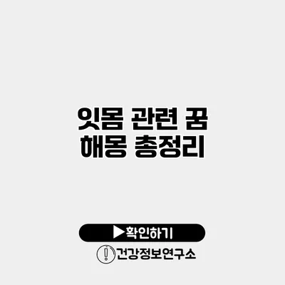 잇몸 관련 꿈 해몽 총정리