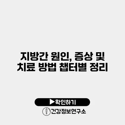 지방간 원인, 증상 및 치료 방법 챕터별 정리