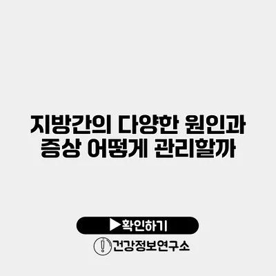 지방간의 다양한 원인과 증상 어떻게 관리할까?