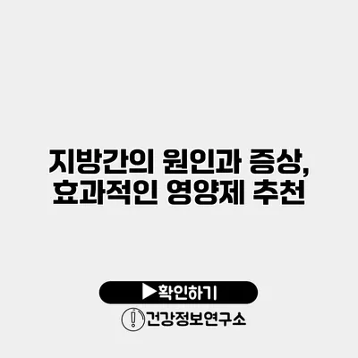 지방간의 원인과 증상, 효과적인 영양제 추천
