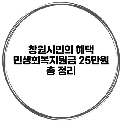 창원시민의 혜택 민생회복지원금 25만원 총 정리