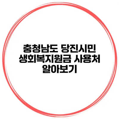 충청남도 당진시민 생회복지원금 사용처 알아보기