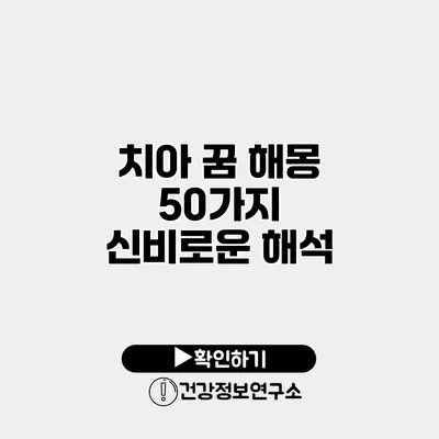 치아 꿈 해몽 50가지 신비로운 해석