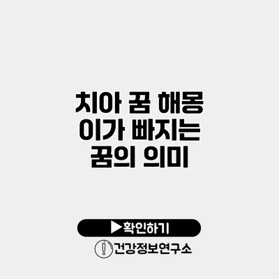 치아 꿈 해몽 이가 빠지는 꿈의 의미
