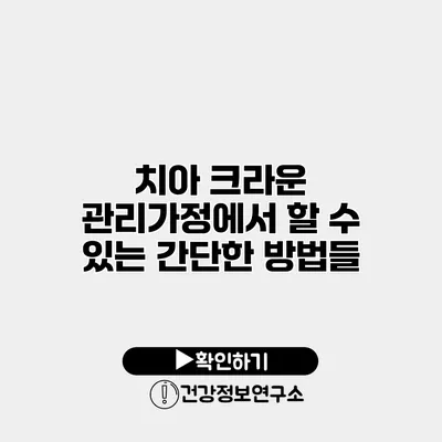 치아 크라운 관리가정에서 할 수 있는 간단한 방법들