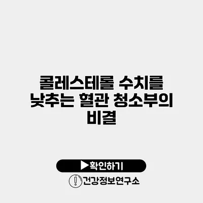 콜레스테롤 수치를 낮추는 혈관 청소부의 비결