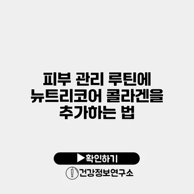 피부 관리 루틴에 뉴트리코어 콜라겐을 추가하는 법