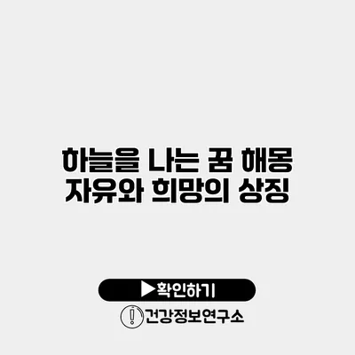 하늘을 나는 꿈 해몽 자유와 희망의 상징