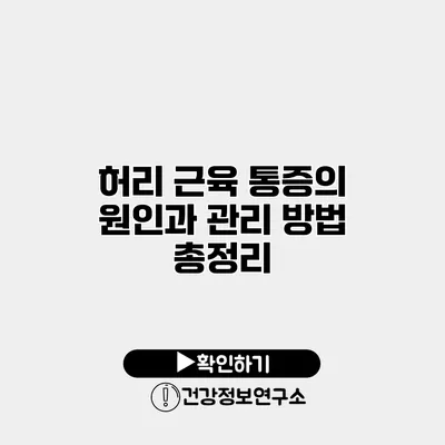 허리 근육 통증의 원인과 관리 방법 총정리