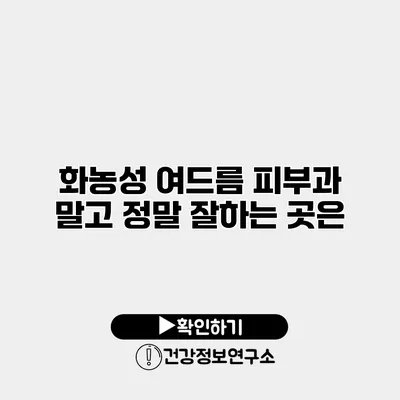 화농성 여드름 피부과 말고 정말 잘하는 곳은?