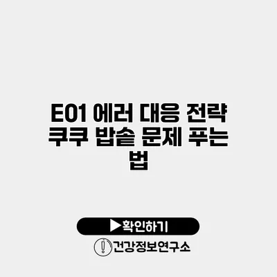 E01 에러 대응 전략 쿠쿠 밥솥 문제 푸는 법