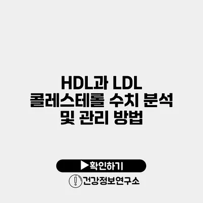 HDL과 LDL 콜레스테롤 수치 분석 및 관리 방법