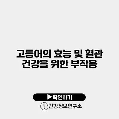 고등어의 효능 및 혈관 건강을 위한 부작용