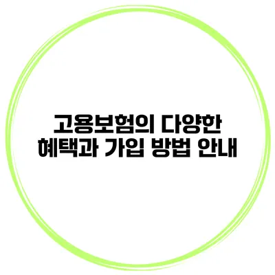 고용보험의 다양한 혜택과 가입 방법 안내