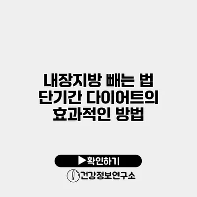 내장지방 빼는 법 단기간 다이어트의 효과적인 방법