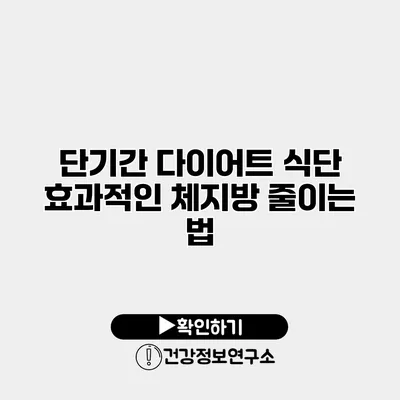 단기간 다이어트 식단 효과적인 체지방 줄이는 법