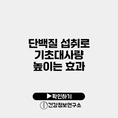 단백질 섭취로 기초대사량 높이는 효과